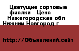    Цветущие сортовые фиалки › Цена ­ 200 - Нижегородская обл., Нижний Новгород г.  »    